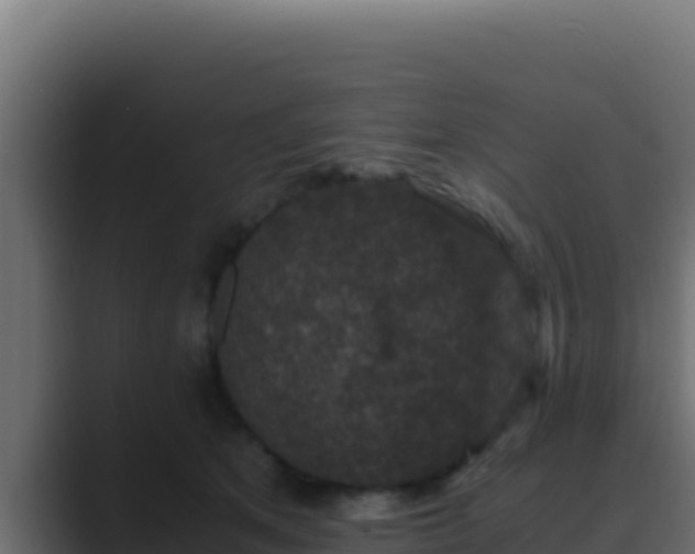 X0000089690513200706281418