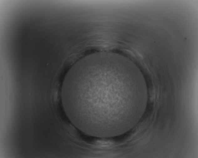 X0000089690515200706281418