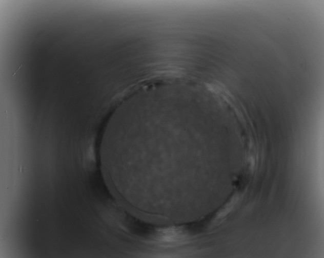 X0000089690516200706281418