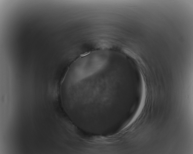 X0000089690517200706281418