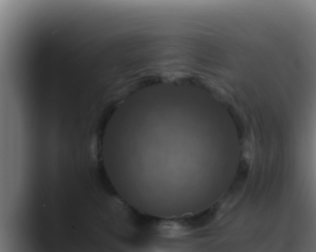 X0000089690519200706281418