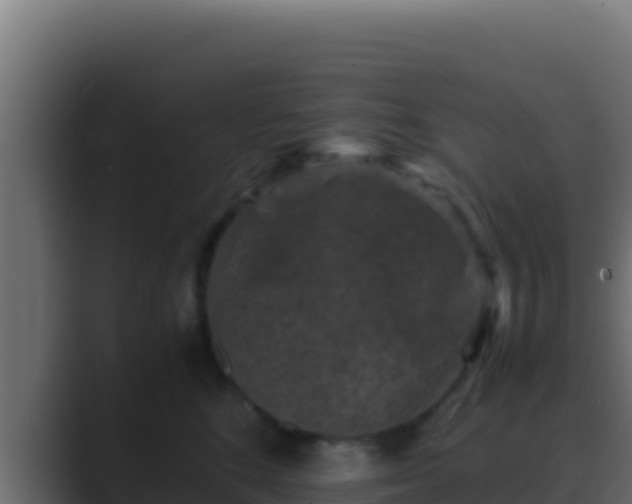 X0000089690520200706281418