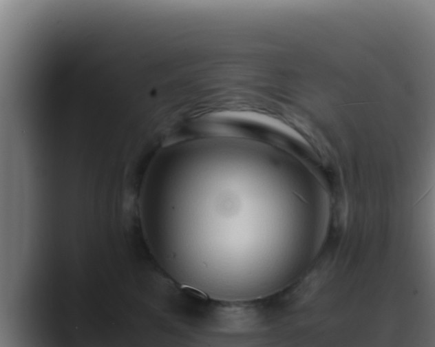 X0000089690521200706281418