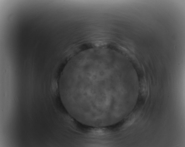 X0000089690523200706281418