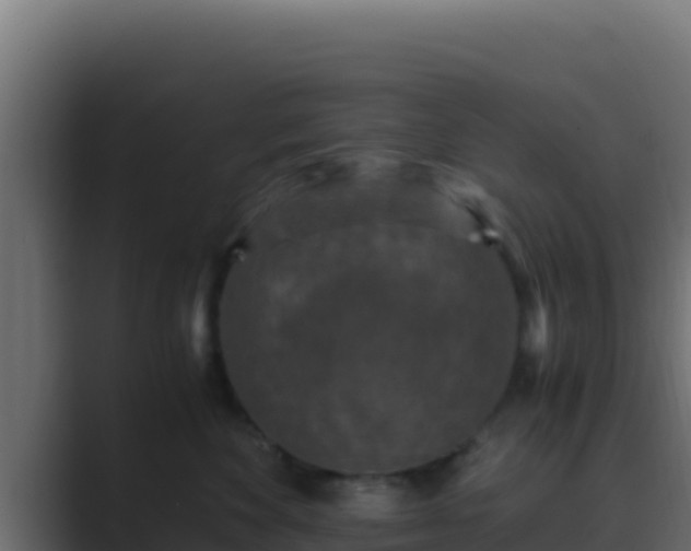 X0000089690524200706281418