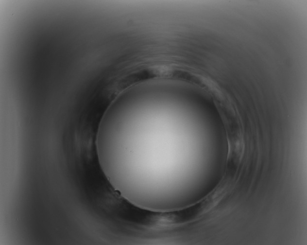 X0000089690525200706281418