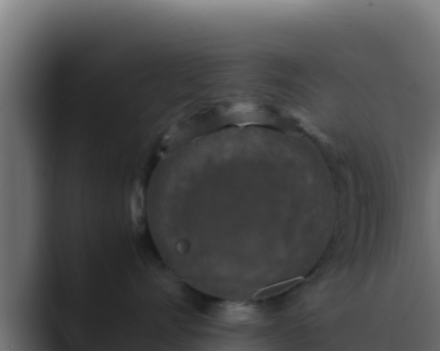 X0000089690528200706281418