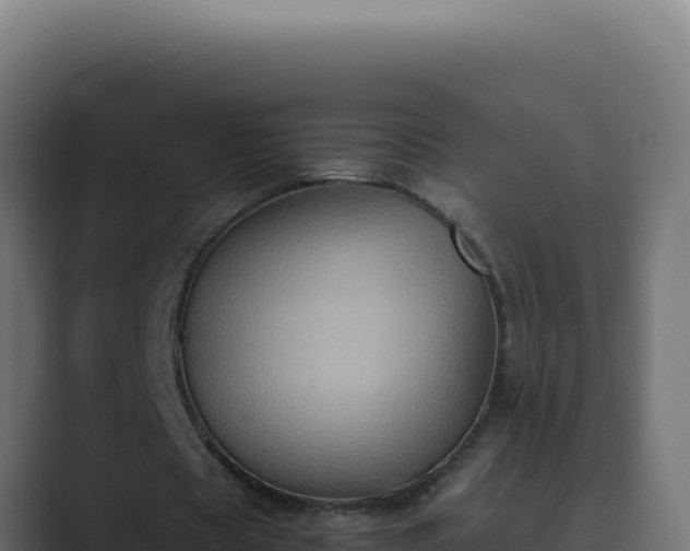 X0000089690529200706281417