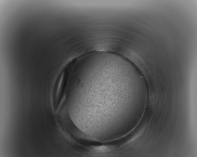 X0000089690530200706281417