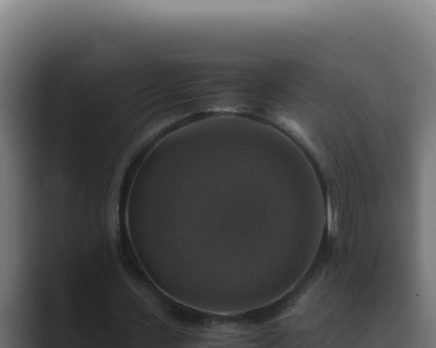 X0000089690531200706281417