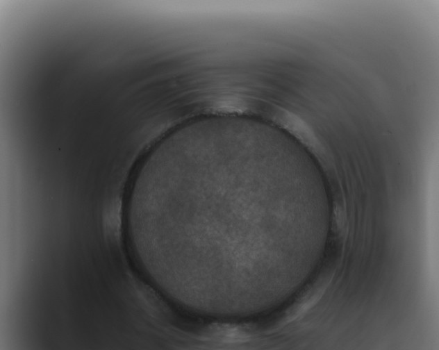 X0000089690534200706281417