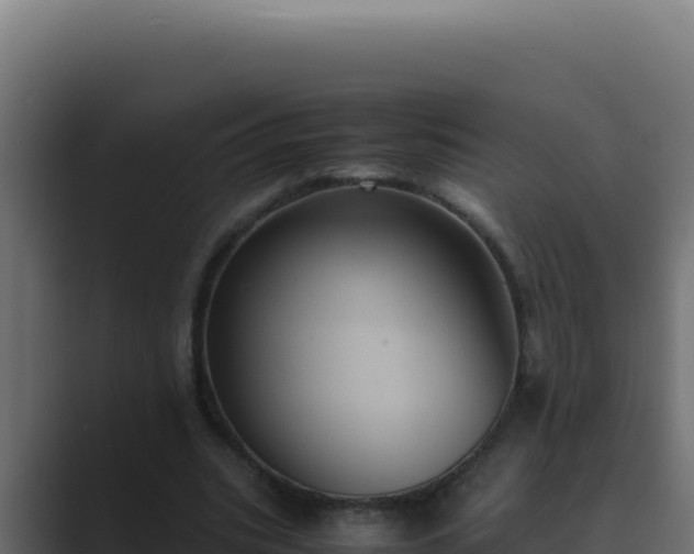 X0000089690535200706281417