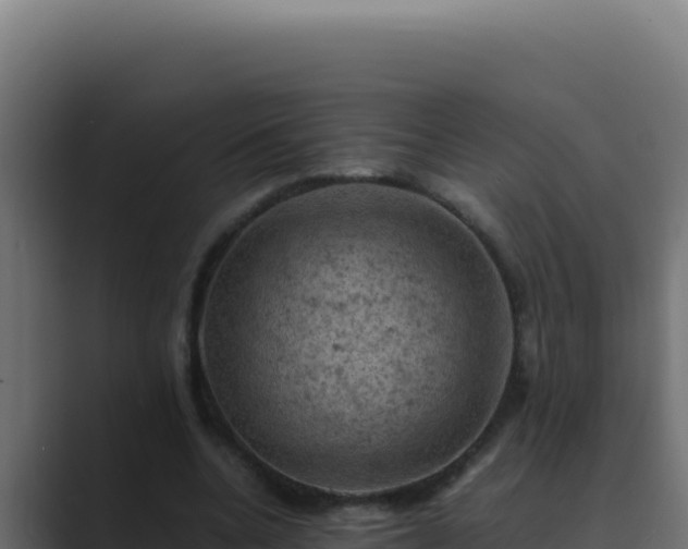 X0000089690536200706281417