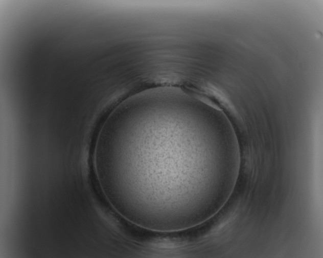 X0000089690538200706281417