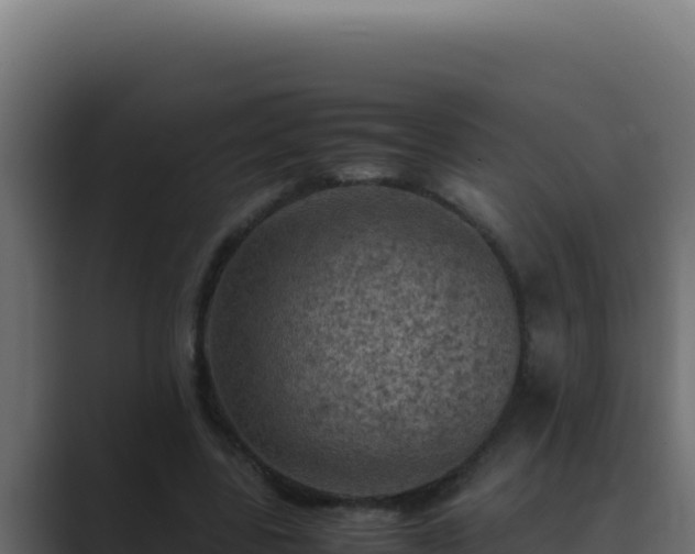 X0000089690539200706281417