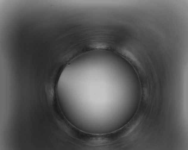 X0000089690541200706281417