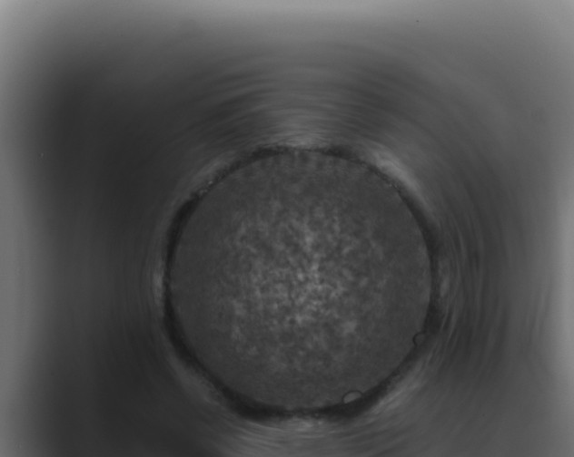 X0000089690542200706281417