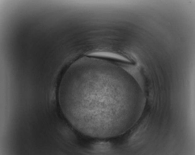 X0000089690543200706281417