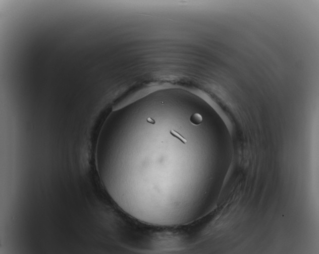 X0000089690544200706281417