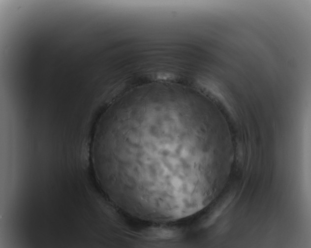 X0000089690545200706281417