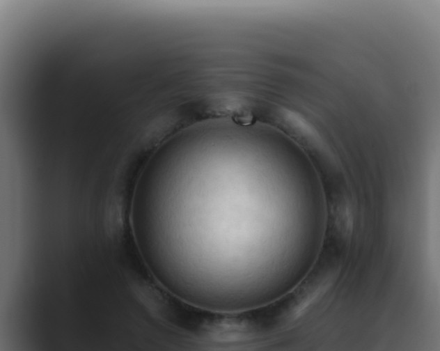 X0000089690546200706281417