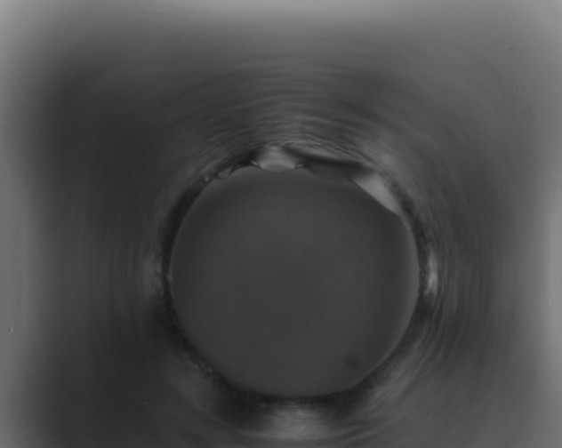 X0000089690547200706281417