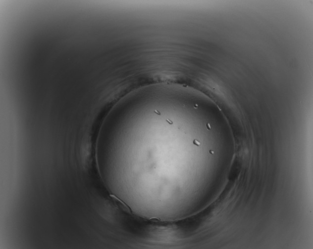 X0000089690548200706281417