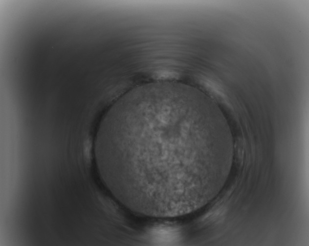 X0000089690550200706281417