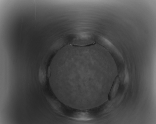 X0000089690552200706281417