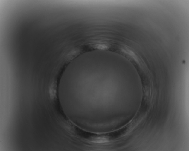 X0000089690553200706281417