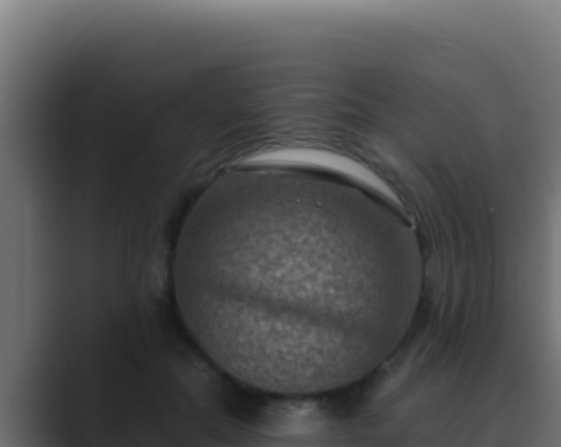 X0000089690554200706281417