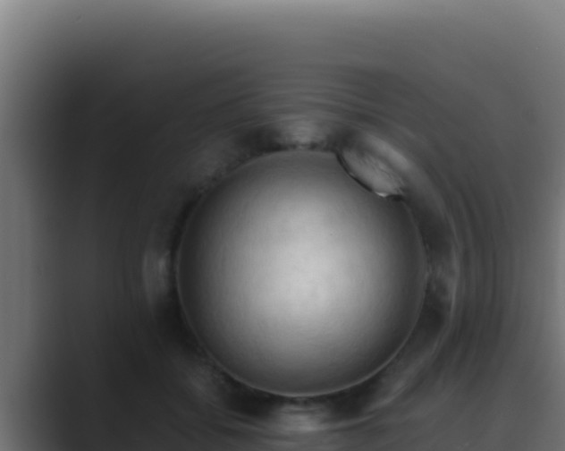 X0000089690556200706281417