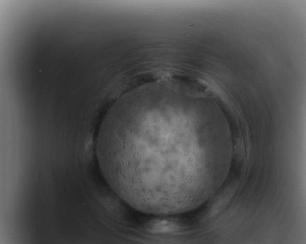 X0000089690557200706281417