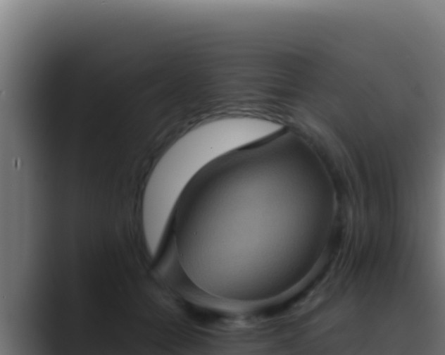 X0000089690558200706281418