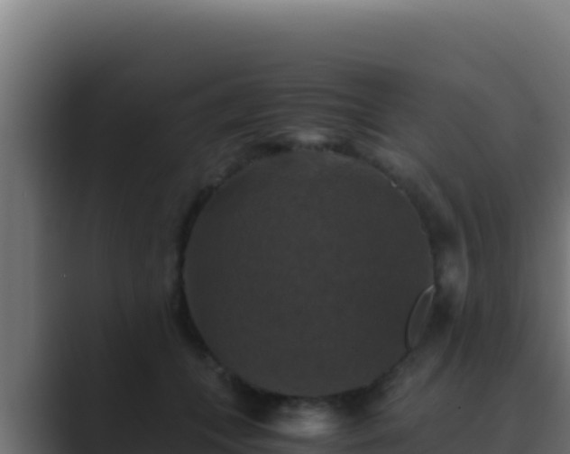 X0000089690559200706281418