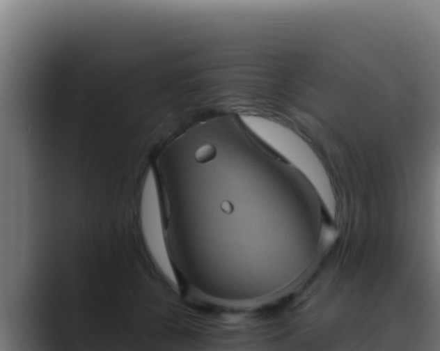 X0000089690560200706281418