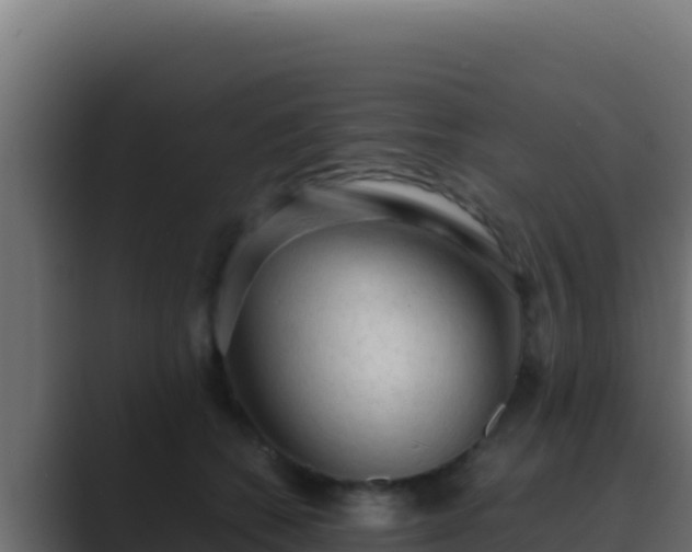 X0000089690562200706281418