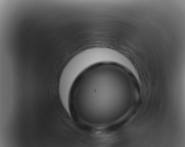 X0000089690564200706281418