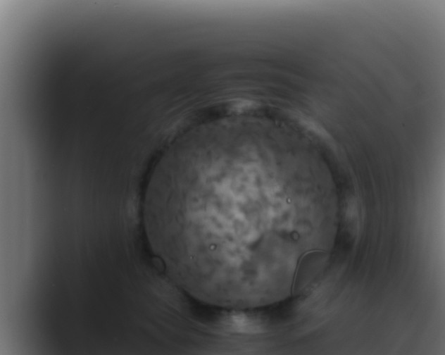 X0000089690565200706281418