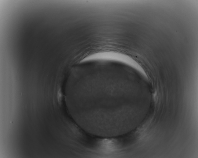 X0000089690566200706281418