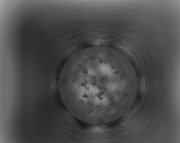 X0000089690569200706281418