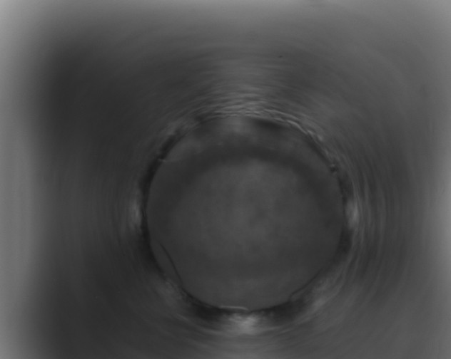 X0000089690570200706281418