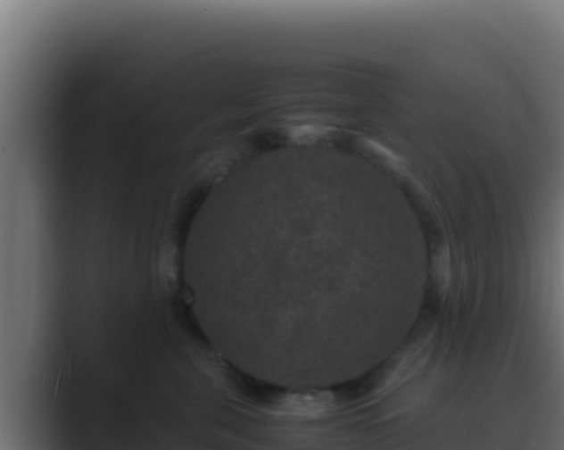 X0000089690571200706281418