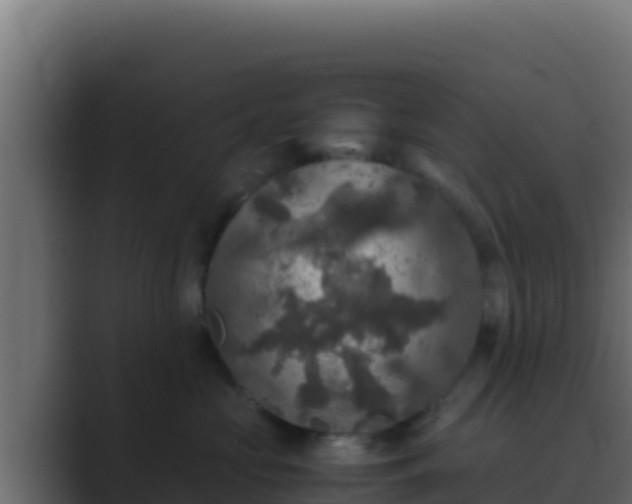 X0000089690573200706281418