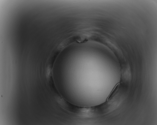 X0000089690574200706281418