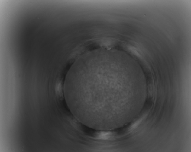 X0000089690575200706281418