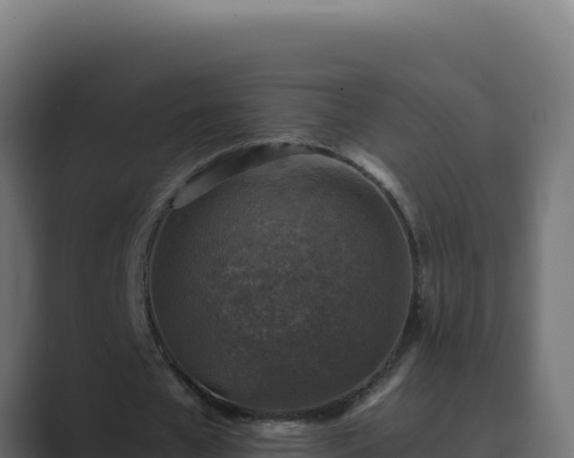 X0000089690577200706281417