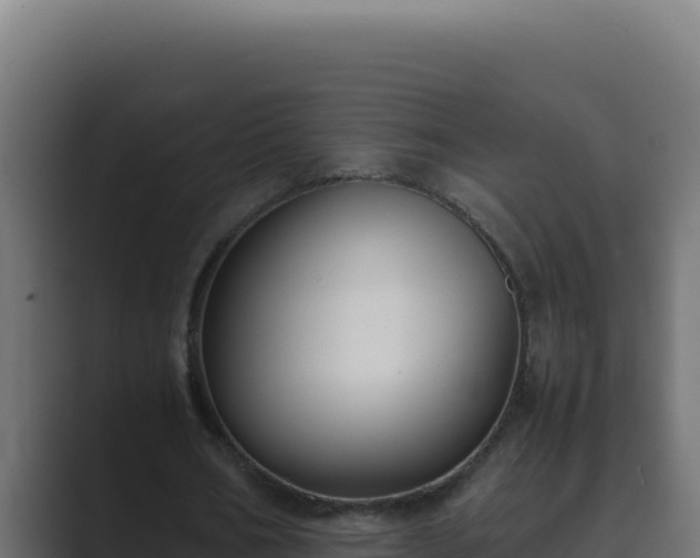 X0000089690578200706281417