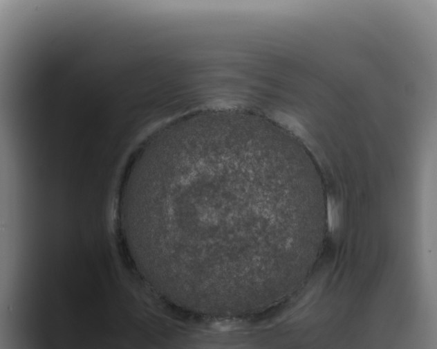 X0000089690579200706281417