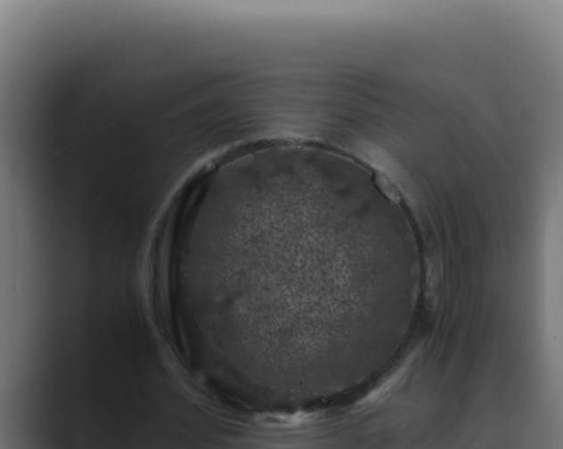 X0000089690580200706281417